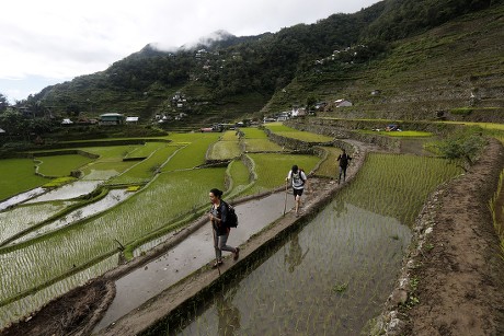 thesis about irrigation system in the philippines