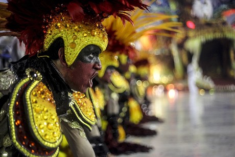 Member Samba Special Group Academicos Do Editorial Stock Photo - Stock ...
