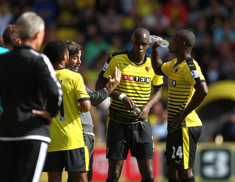 57 Veho Stock Pictures, Editorial Images and Stock Photos | Shutterstock