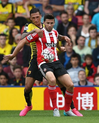 57 Veho Stock Pictures, Editorial Images and Stock Photos | Shutterstock