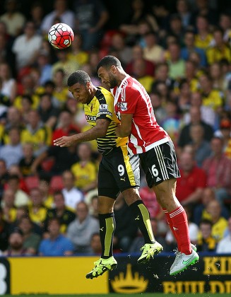 57 Veho Stock Pictures, Editorial Images and Stock Photos | Shutterstock