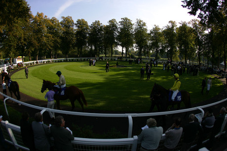 detail-shot-horse-racing-parade-ring-editorial-stock-photo-stock
