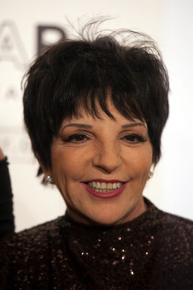 Liza Minnelli Editorial Stock Photo - Stock Image | Shutterstock