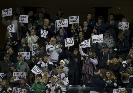 Notre Dame Fans Celebrate Goal By Editorial Stock Photo - Stock Image