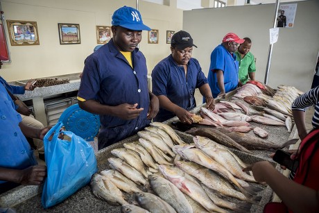 Africa Fish Market Maputo Mercado De Editorial Stock Photo - Stock ...