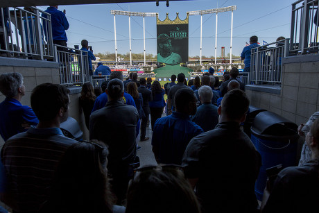 Yordano ventura hi-res stock photography and images - Alamy