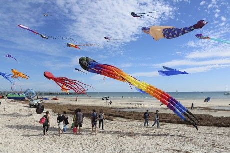 Kite Flyers Put On Colorful Display Editorial Stock Photo - Stock Image ...