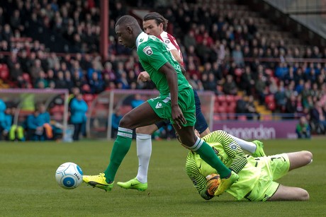 york city fc wrexham afc