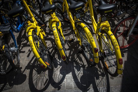 Ofo Rental Bicycles Street Beijing China Editorial Stock Photo