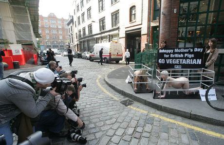Peta Protest Editorial Stock Photo - Stock Image | Shutterstock