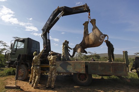 Rangers Kenya Wildlife Service Kws Winch Editorial Stock Photo - Stock ...