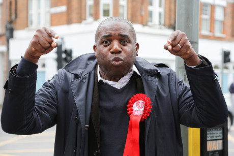 David Lammy Mp Labour Candidate Tottenham Editorial Stock Photo - Stock ...