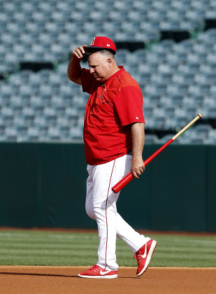 Mike Scioscia Editorial Stock Photo - Stock Image | Shutterstock