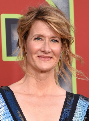 Laura Dern Editorial Stock Photo - Stock Image | Shutterstock