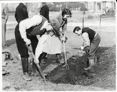 War Britain Food Allotments 1940 Development Editorial Stock Photo ...