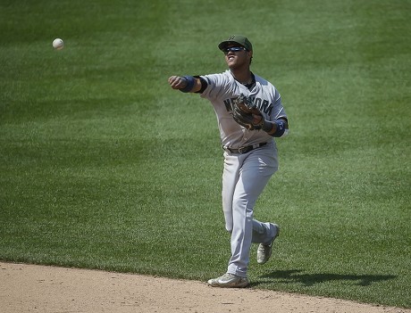 New York Yankees Second Baseman 14 Editorial Stock Photo - Stock Image ...