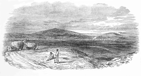 250 Hay wagon Stock Pictures, Editorial Images and Stock Photos