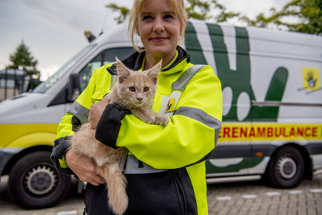 250 Ambulance patrol Stock Pictures, Editorial Images and Stock Photos ...
