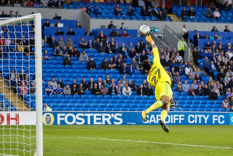 2017: CARDIFF CITY FC CHAMPIONSHIP GOALS 