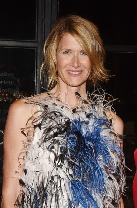 Laura Dern Editorial Stock Photo - Stock Image | Shutterstock