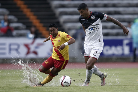 Monarcas Morelias Soccer Team Player Rodolfo Editorial Stock Photo - Stock  Image | Shutterstock