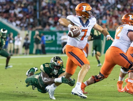 Stanley Green - Illinois Fighting Illini Defensive Back - ESPN