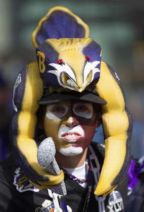Baltimore Ravens Fan Painted Face Head Editorial Stock Photo