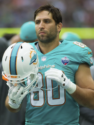 Anthony Fasano Miami Dolphins  Miami dolphins, Anthony fasano