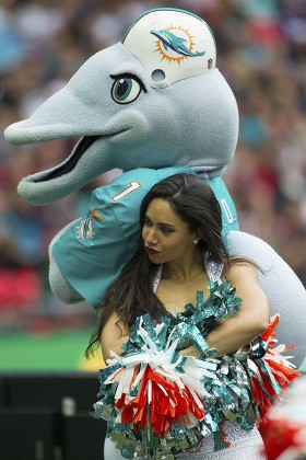 T.D. The Dolphin Miami Dolphins Mascot