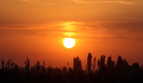 26 Tokmok Stock Pictures, Editorial Images and Stock Photos | Shutterstock