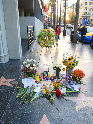 Tributes at Tom Petty star on the Hollywood Walk of Fame, Los Angeles, USA - 03 Oct 2017