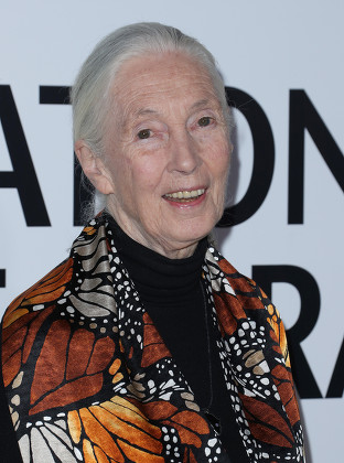 Jane Goodall Editorial Stock Photo - Stock Image | Shutterstock