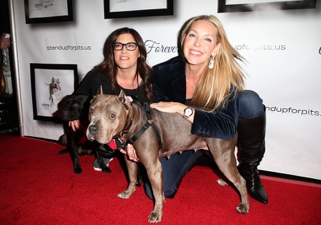 7th Annual Stand Up For Pits event, Los Angeles, USA - 05 Nov 2017