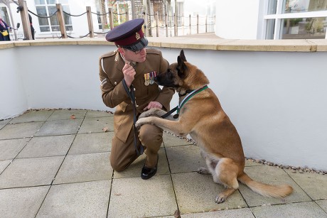 Working rescue dog Mali awarded the Animal Victoria Cross, London, UK - 17 Nov 2017
