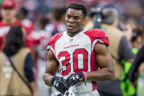 Arizona Cardinals Cornerback Rudy Ford 30 Editorial Stock Photo - Stock  Image