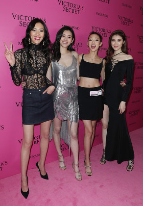 Victoria's Secret Fashion Show, Pink Carpet Arrivals, After Party, Expo Center, Shanghai, China - 20 Nov 2017