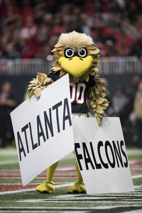 Freddie Falcon