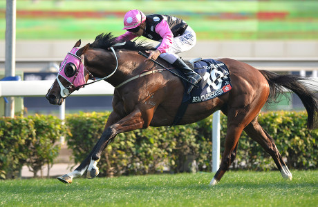 Derek Leung Jockey Beauty Generation Winning Editorial Stock Photo