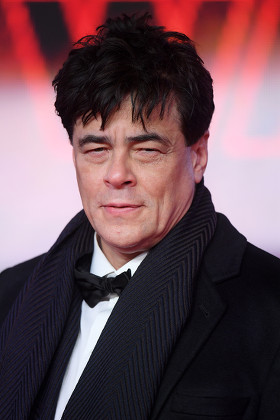 Benicio Del Toro Editorial Stock Photo - Stock Image | Shutterstock