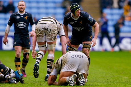 Wasps Lock James Gaskell 5 Action Editorial Stock Photo - Stock Image ...