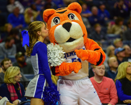 Memphis Tigers Mascot Cheerleader Perform During Editorial Stock Photo -  Stock Image