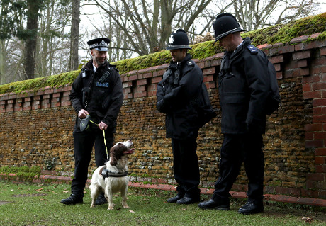 Police Officer His Explosive Search Dog Editorial Stock Photo - Stock