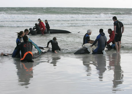 51 Rescue fail Stock Pictures, Editorial Images and Stock Photos ...