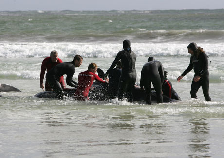 51 Rescue fail Stock Pictures, Editorial Images and Stock Photos ...