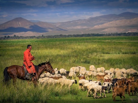 78 Sheep and goat farming Stock Pictures, Editorial Images and Stock ...