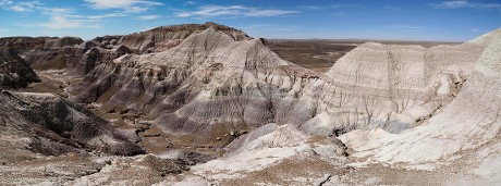 250 Petrified forest Stock Pictures, Editorial Images and Stock Photos