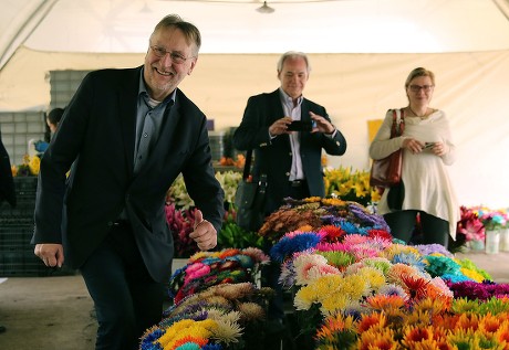 Delegation of the European Parliament visits plantation of export flowers in Colombia, Madrid - 14 Feb 2018