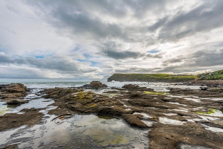 250 Petrified forest Stock Pictures, Editorial Images and Stock Photos