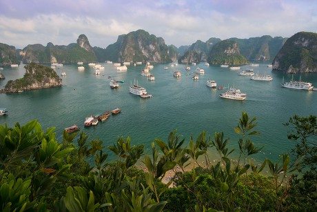 250 Vietnam coastline Stock Pictures, Editorial Images and Stock Photos ...