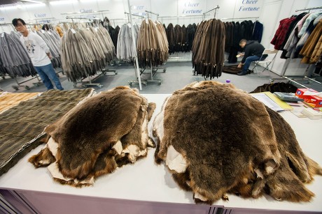 Trader Waits Customers Animal Furs Lie Editorial Stock Photo - Stock ...